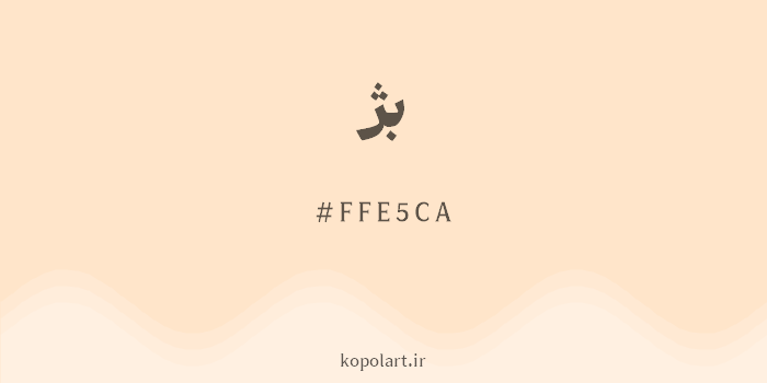 رنگ بژ با کد هگزادسیمال FFE5CA