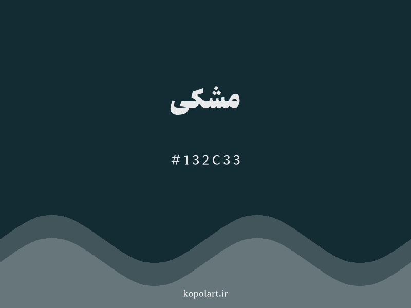 رنگ ‌مشکی با کد هگزادسیمال 132C33 و نام لاتین Black Color