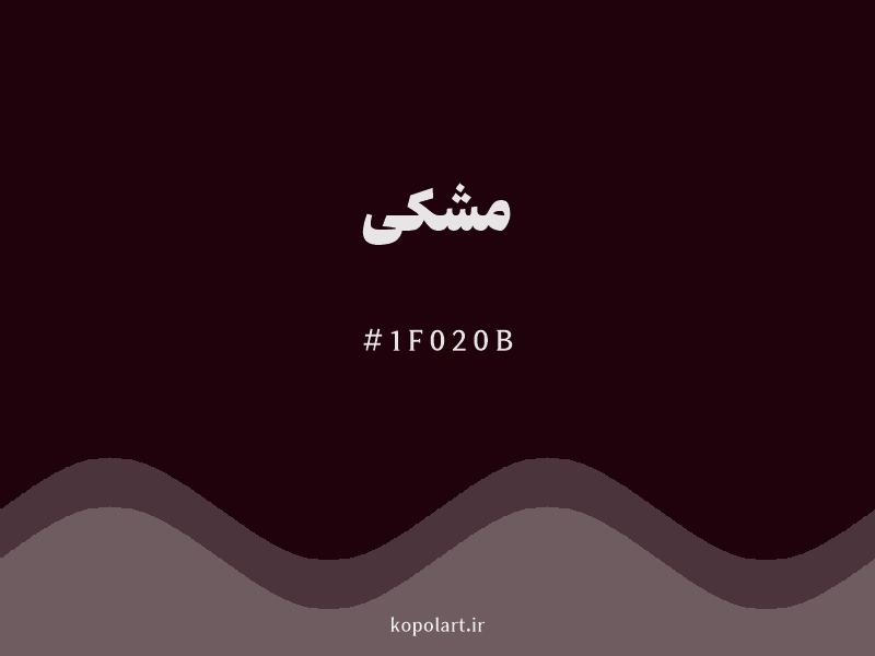 رنگ مشکی با کد هگزادسیمال 1F020B