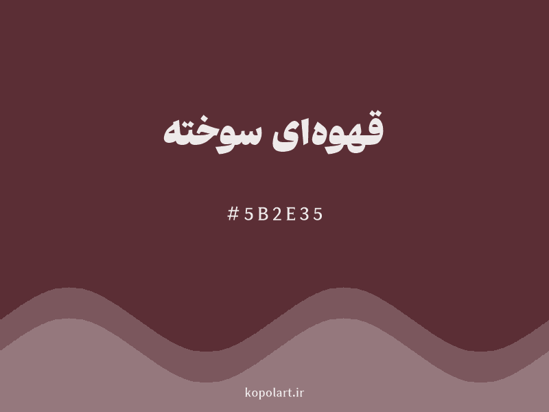 رنگ قهوه‌ای سوخته با کد هگزادسیمال 5B2E35 و نام لاتین Burnt Brown Color
