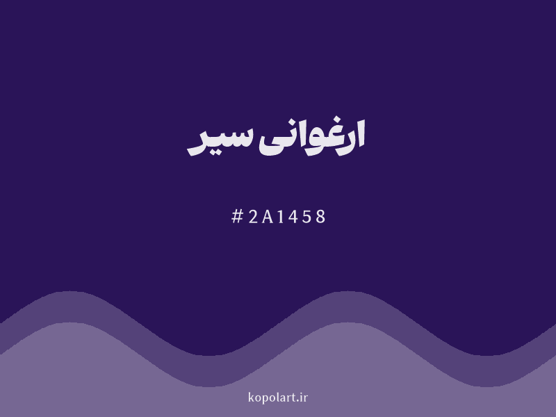 رنگ ارغوانی سیر با کد هگزادسیمال 2A1458