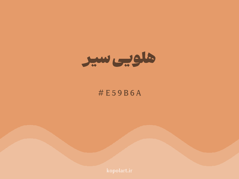 رنگ هلویی سیر با کد هگزادسیمال E59B6A و نام لاتین Dark Peach Color
