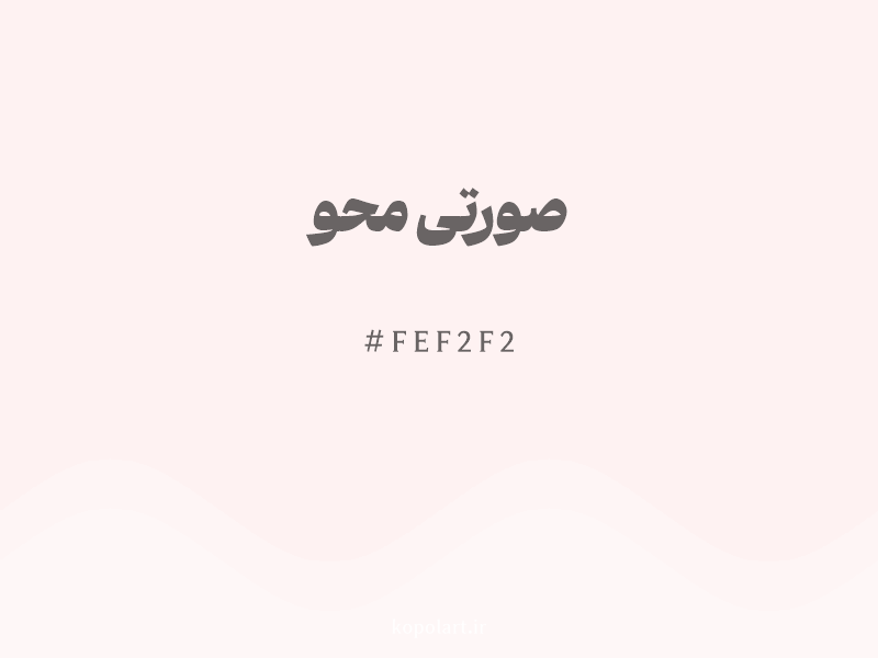 رنگ صورتی محو با کد هگزادسیمال FEF2F2 و نام لاتین Faded Pink Color