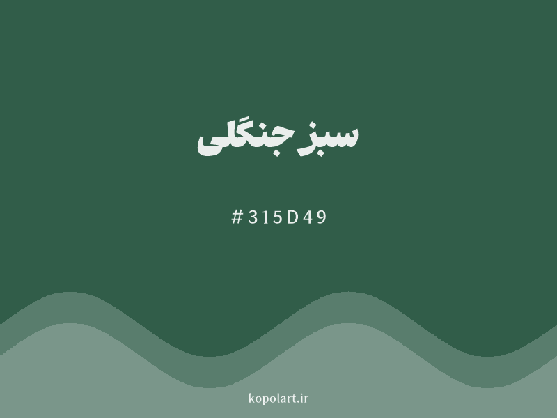 رنگ سبز جنگلی با کد هگزادسیمال 315D49 و نام لاتین Forest Green Color