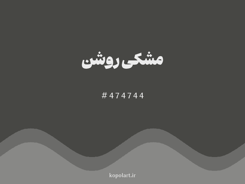رنگ مشکی روشن با کد هگزادسیمال 474744
