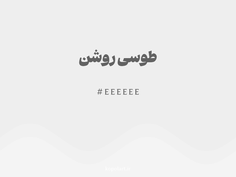 رنگ طوسی روشن با کد هگزادسیمال EEEEEE و نام لاتین Light Gray Color