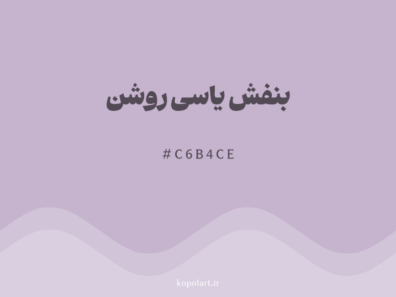 رنگ بنفش یاسی روشن با کد هگزادسیمال C6B4CE