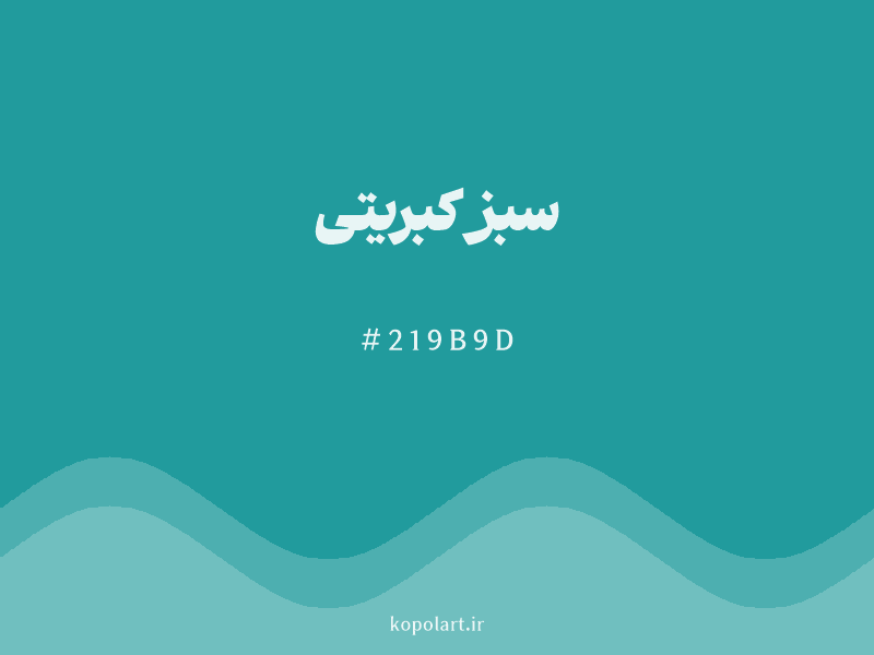 رنگ سبز کبریتی با کد هگزادسیمال 219B9D