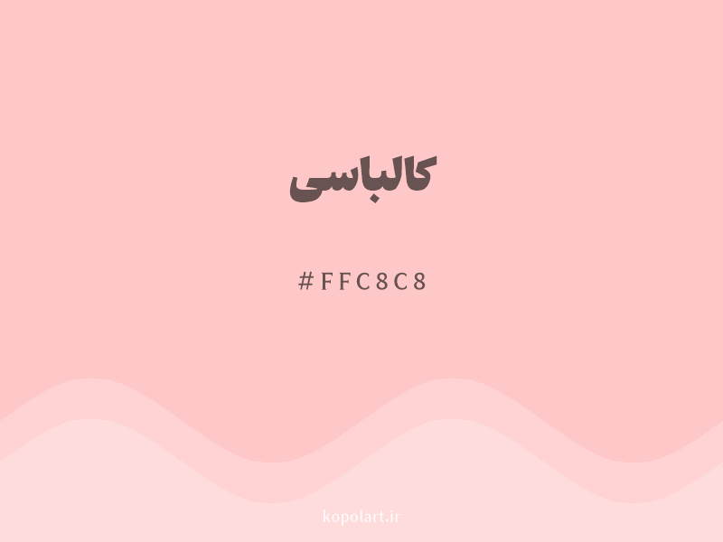 رنگ کالباسی با کد هگزادسیمال FFC8C8