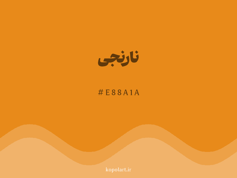 رنگ نارنجی با کد هگزادسیمال E88A1A