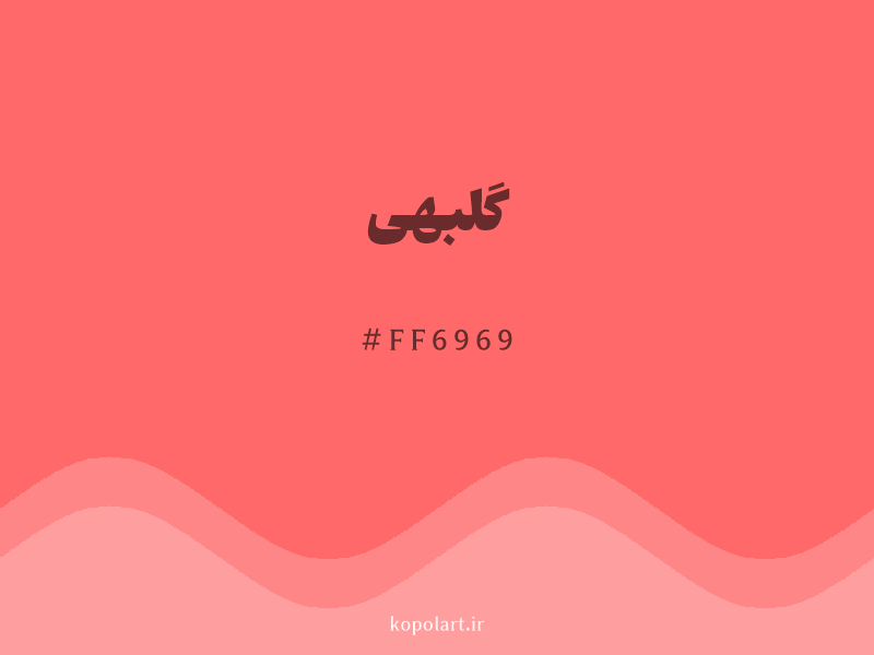 رنگ گلبهی با کد هگزادسیمال FF6969 و نام لاتین Peach Pink Color