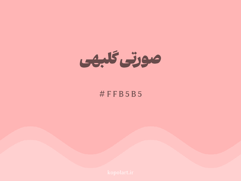 رنگ صورتی گلبهی با کد هگزادسیمال FFB5B5