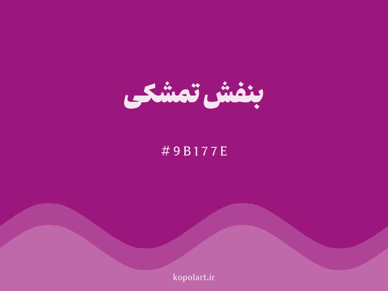 رنگ بنفش تمشکی با کد هگزادسیمال 9B177E و نام لاتین Raspberry Purple Color