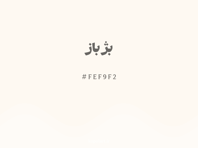 رنگ بژ باز با کد هگزادسیمال FEF9F2 و نام لاتین Seashell Color