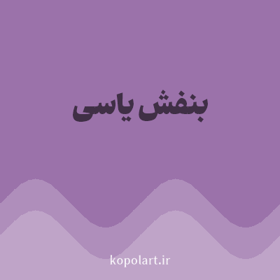 رنگ بنفش یاسی (Lilac Color) با کد هگز 9B72AA