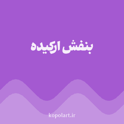 رنگ بنفش ارکیده (Orchid Purple Color) با کد هگز A459D1