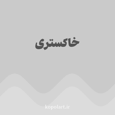 رنگ خاکستری (Gray Color) با کد هگز CACACA