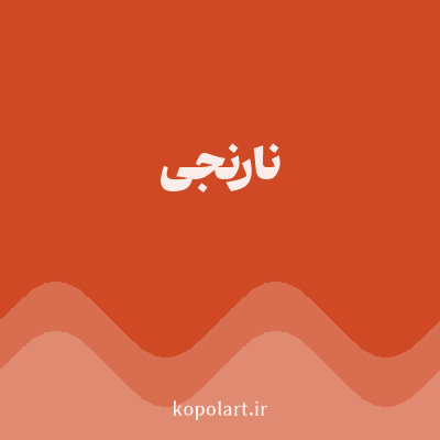 رنگ نارنجی (Orange Color) با کد هگز D04925