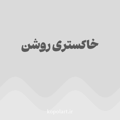 رنگ خاکستری روشن با کد DADADA