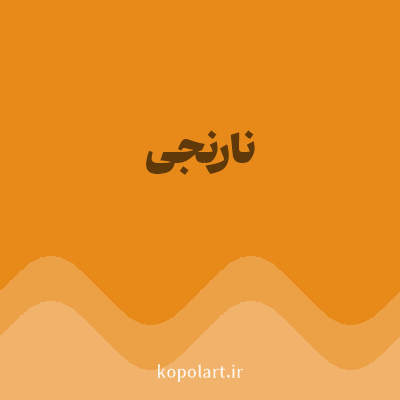 رنگ نارنجی (Orange Color) با کد هگز E88A1A