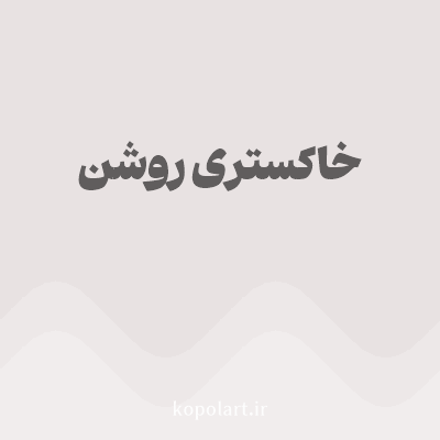 رنگ خاکستری روشن (Light Gray Color) با کد هگز E8E2E2