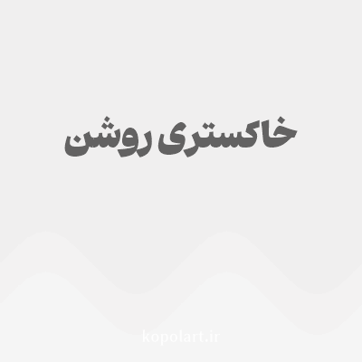 رنگ خاکستری روشن (Light Gray Color) با کد هگز F0EFEF