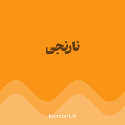 رنگ نارنجی (Orange Color) با کد هگز F99417