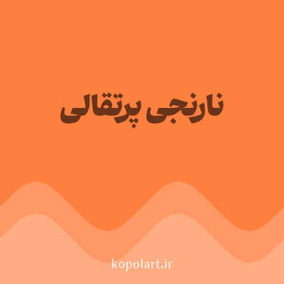 رنگ نارنجی پرتقالی (Orange Color) با کد هگز FF7F3E