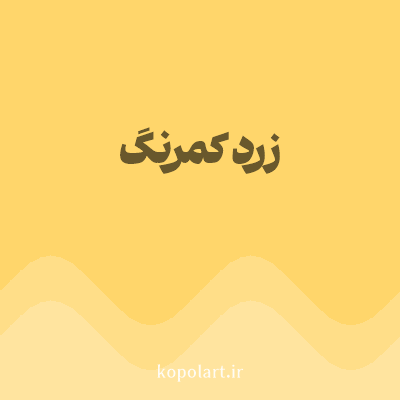 رنگ زرد کمرنگ (Pale Yellow Color) با کد هگز FFD66B