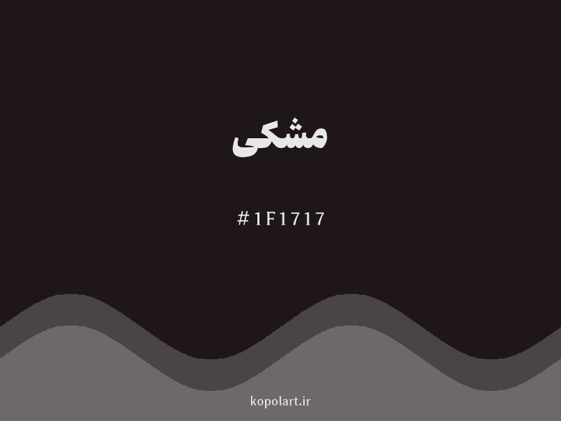 رنگ مشکی با کد هگزادسیمال 1F1717
