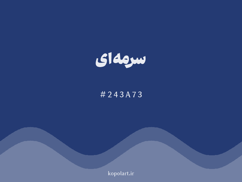 رنگ سرمه‌ای با کد هگزادسیمال 243A73
