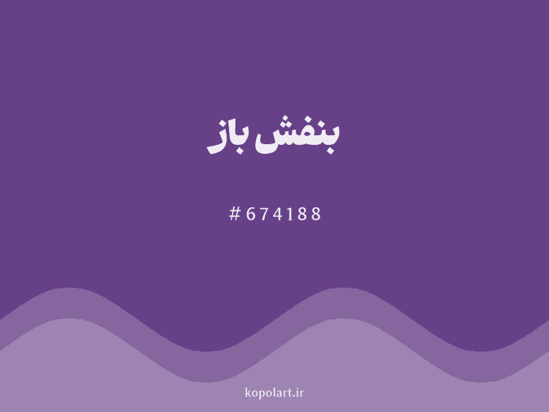 رنگ بنفش باز با کد هگزادسیمال 674188