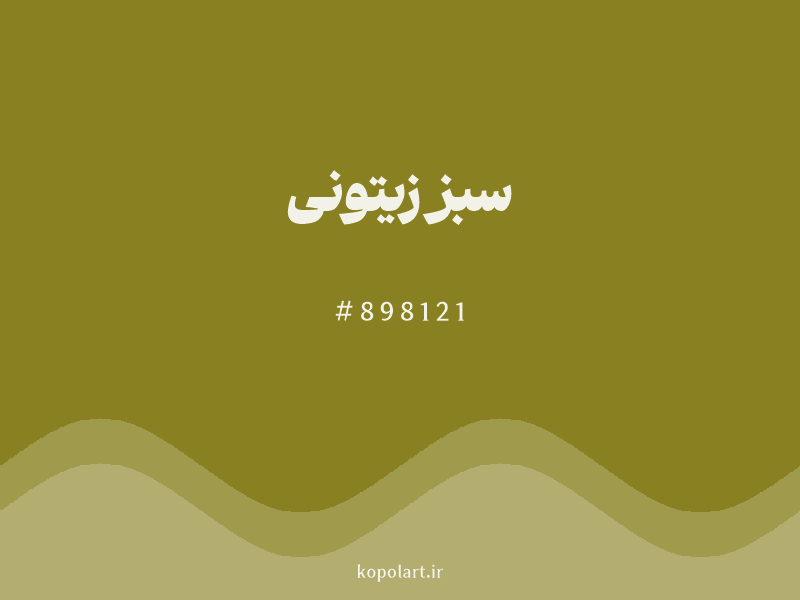رنگ سبز زیتونی با کد هگزادسیمال 898121 و نام لاتین Olive Green Color