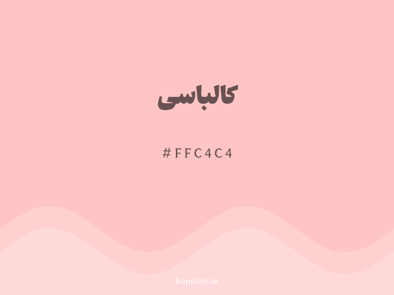 رنگ کالباسی با کد هگزادسیمال FFC4C4 و نام لاتین Nude Pink Color