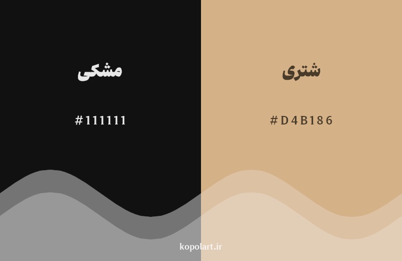 نمایش هارمونی رنگ مشکی در کنار رنگ همسایه آن شتری