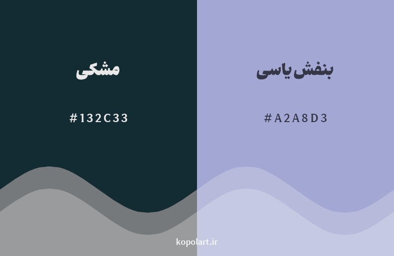 نمایش هارمونی رنگ مشکی در کنار رنگ همسایه آن بنفش یاسی