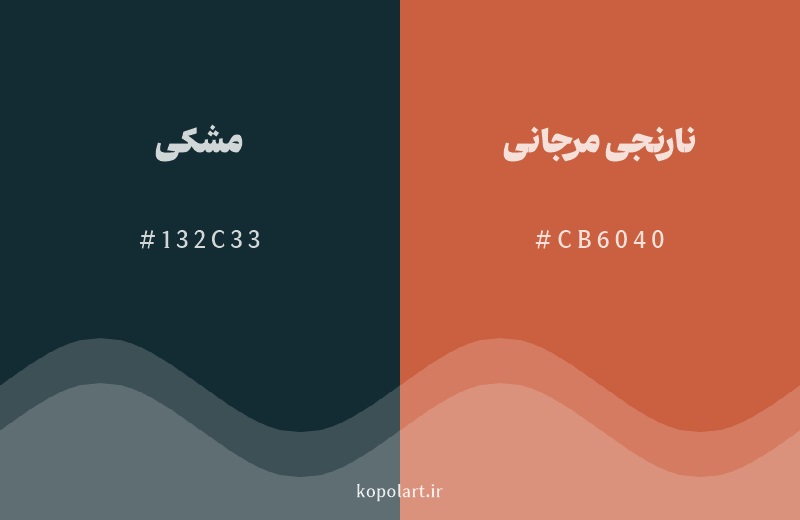رنگ مکمل ‌مشکی با کد هگزادسیمال 132C33، رنگ نارنجی مرجانی با کد CB6040