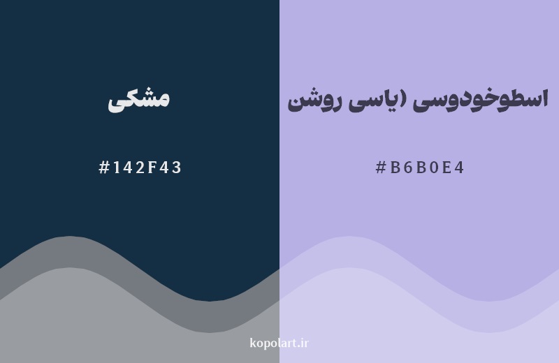 نمایش هارمونی رنگ مشکی در کنار رنگ همسایه آن اسطوخودوسی (یاسی روشن)