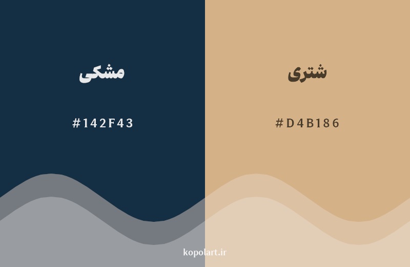 رکیب رنگ مشکی در کنار رنگ مکمل آن شتری