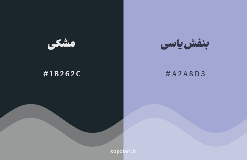نمایش هارمونی رنگ مشکی در کنار رنگ همسایه آن بنفش یاسی