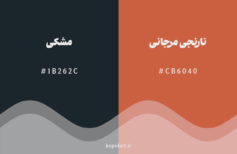 رنگ مکمل مشکی با کد هگزادسیمال 1B262C، رنگ نارنجی مرجانی با کد CB6040
