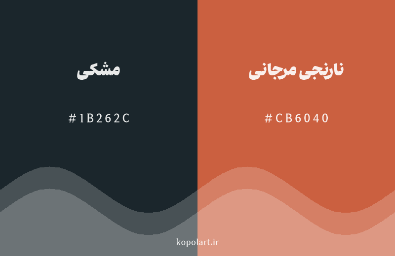 رنگ مکمل مشکی با کد هگزادسیمال 1B262C، رنگ نارنجی مرجانی با کد CB6040