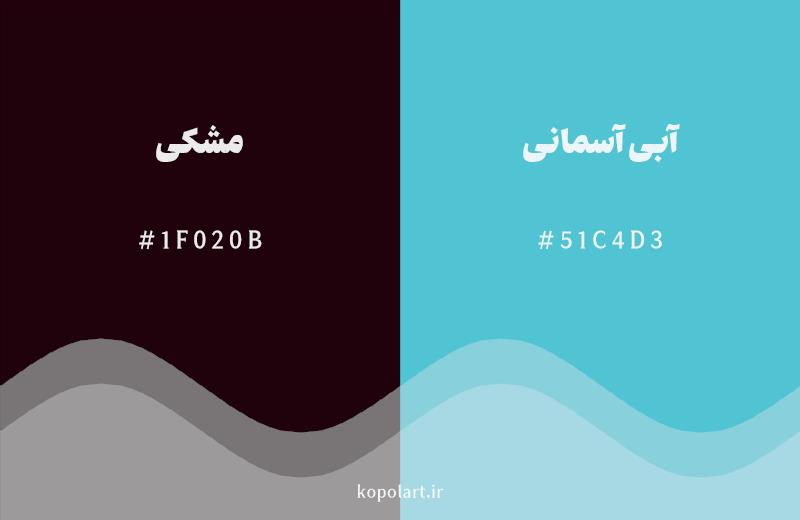 رنگ مکمل مشکی با کد هگزادسیمال 1F020B، رنگ آبی آسمانی با کد 51C4D3