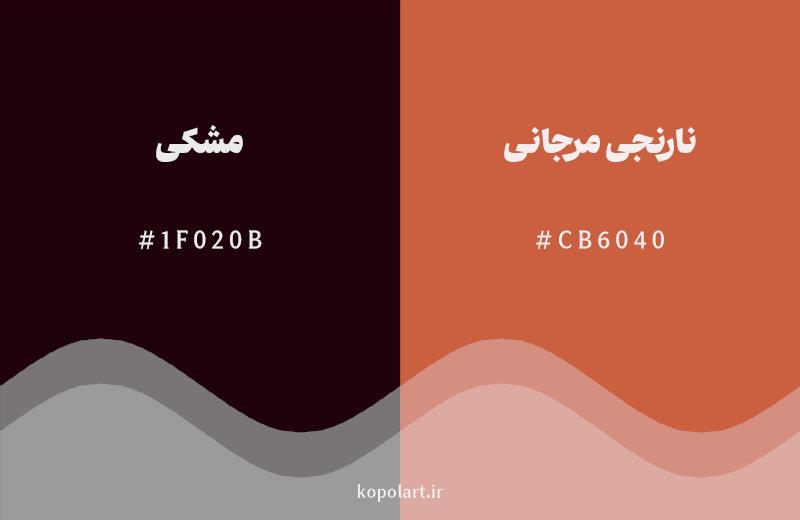 رنگ همسایه مشکی با کد هگزادسیمال 1F020B، رنگ نارنجی مرجانی با کد CB6040