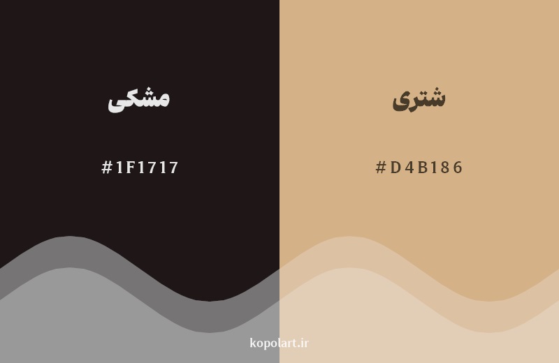 نمایش هارمونی رنگ ‌مشکی در کنار رنگ همسایه آن شتری