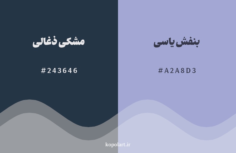 نمایش هارمونی رنگ مشکی ذغالی در کنار رنگ همسایه آن بنفش یاسی