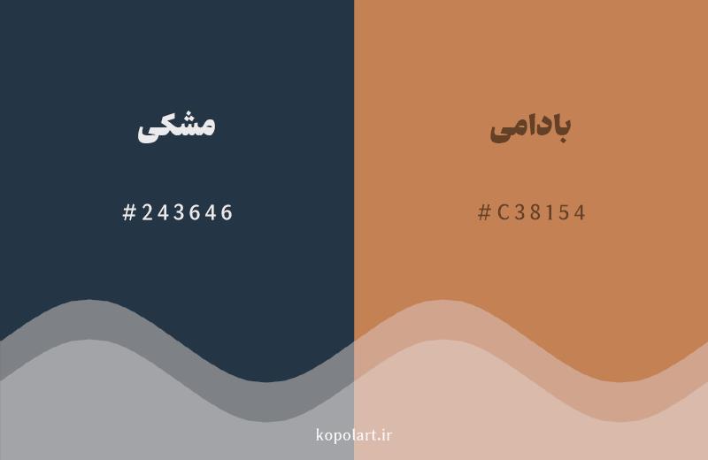 رنگ مکمل ‌مشکی با کد هگزادسیمال 243646، رنگ بادامی با کد C38154