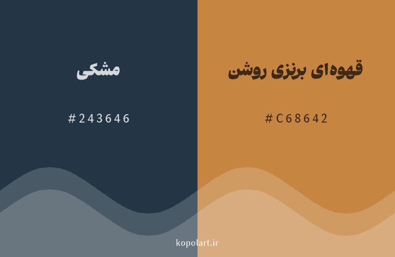 رنگ مکمل مشکی با کد هگزادسیمال 243646، رنگ قهوهای برنزی روشن با کد C68642