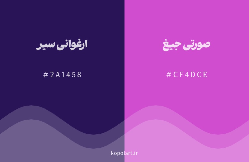 رنگ همسایه ارغوانی سیر با کد هگزادسیمال 2A1458، رنگ صورتی جیغ با کد CF4DCE