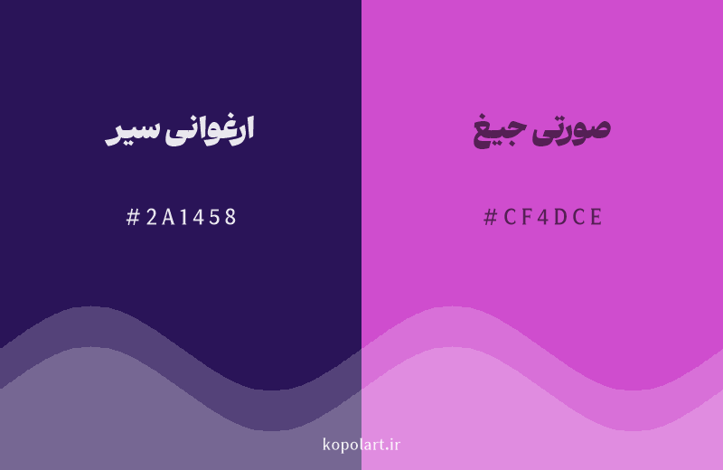 رنگ همسایه ارغوانی سیر با کد هگزادسیمال 2A1458، رنگ صورتی جیغ با کد CF4DCE